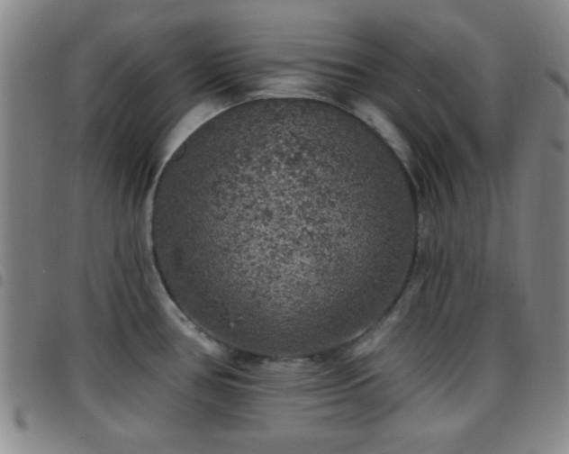 X0000097811386200803141109