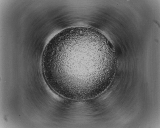 X0000097811387200803141109