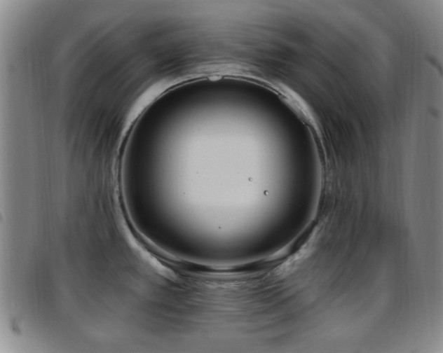 X0000097811389200803141109