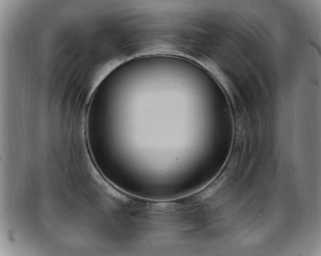 X0000097811390200803141109