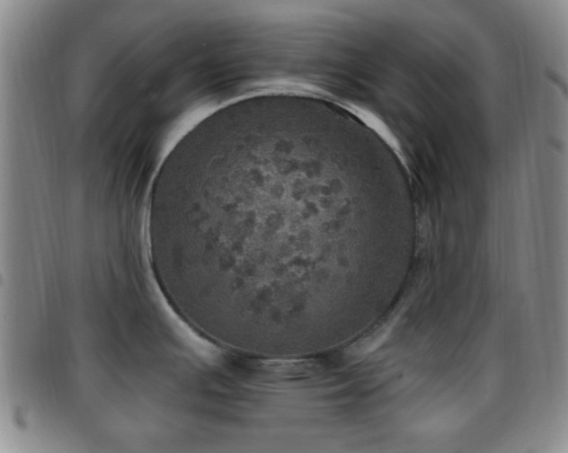 X0000097811391200803141109