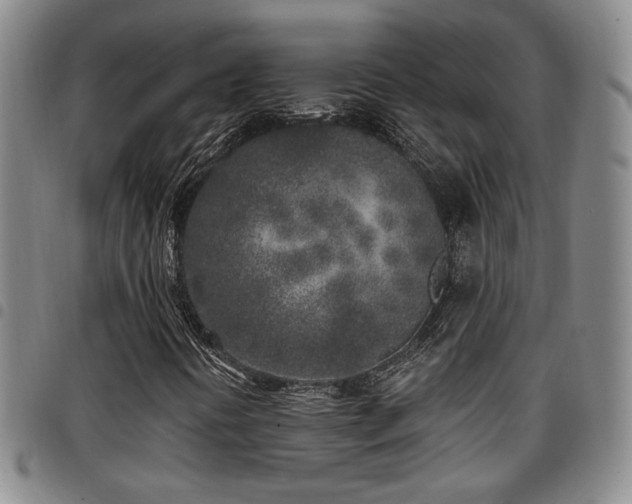 X0000097811394200803141108