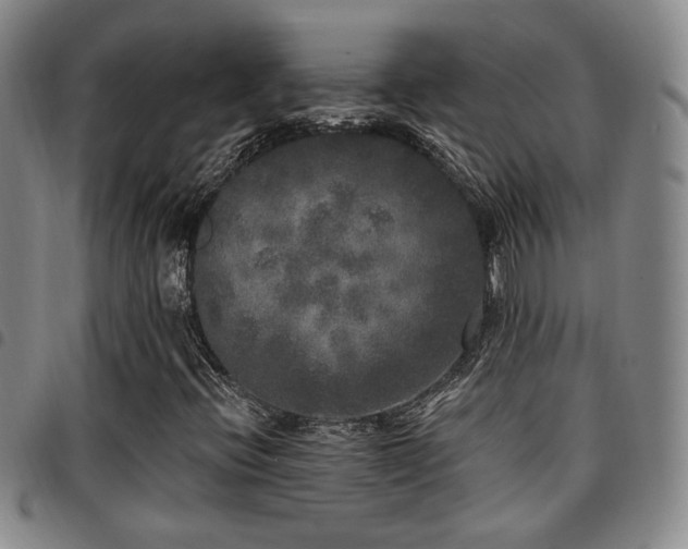 X0000097811396200803141108