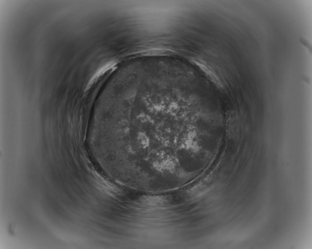 X0000097811402200803141108