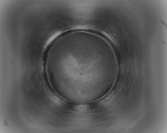 X0000097811406200803141108