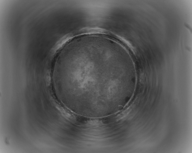 X0000097811407200803141108