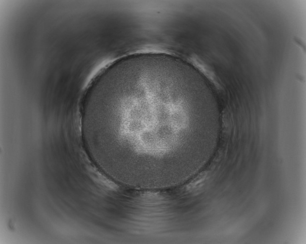 X0000097811408200803141108