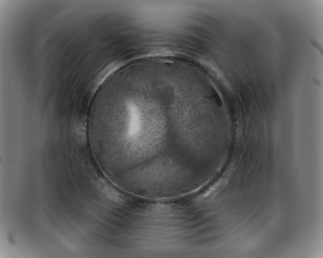 X0000097811409200803141108