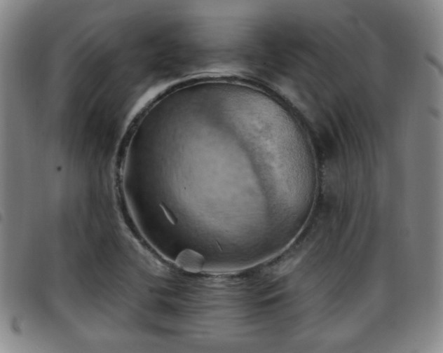 X0000097811412200803141108