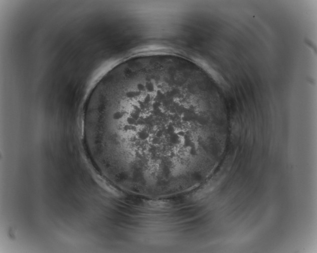 X0000097811413200803141109