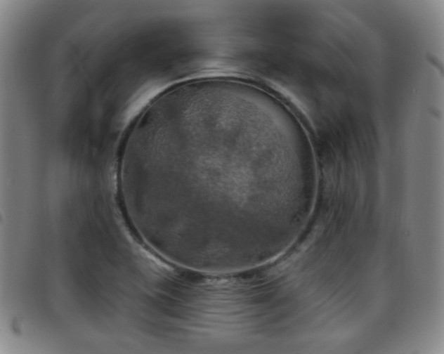 X0000097811415200803141109