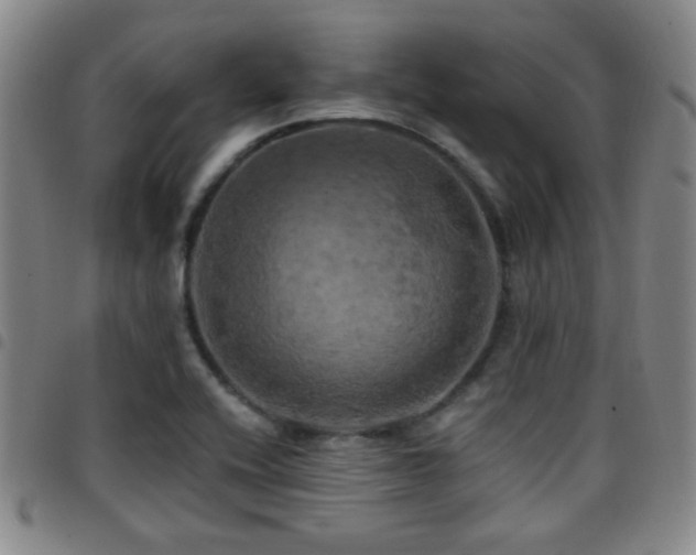 X0000097811416200803141109