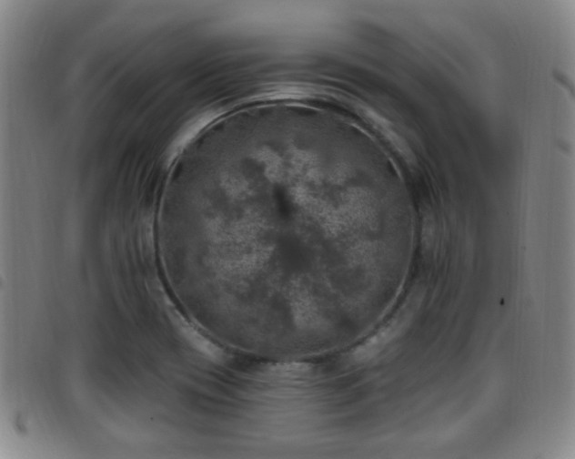 X0000097811417200803141109