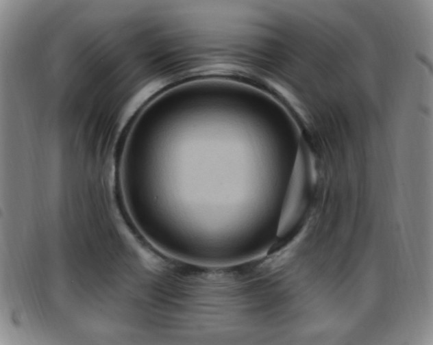 X0000097811418200803141109