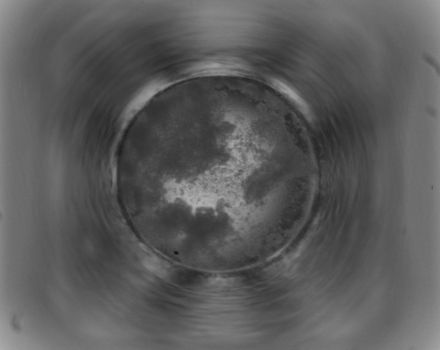 X0000097811419200803141109
