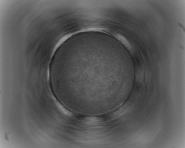 X0000097811420200803141109