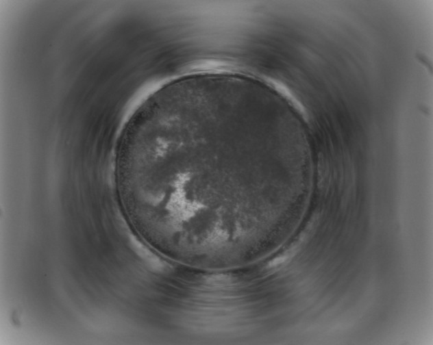 X0000097811421200803141109
