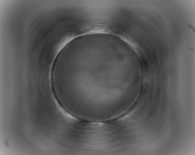 X0000097811423200803141109