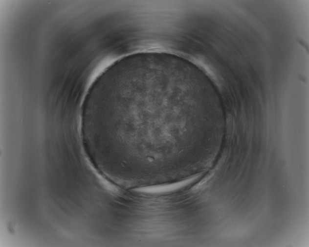 X0000097811424200803141109