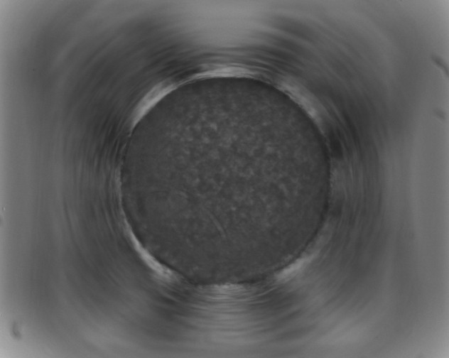 X0000097811425200803141109