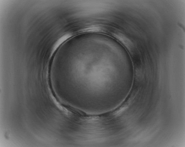 X0000097811426200803141109
