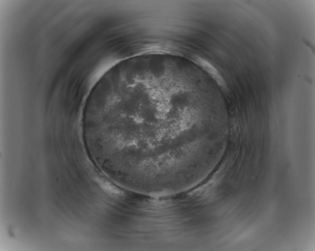 X0000097811427200803141109