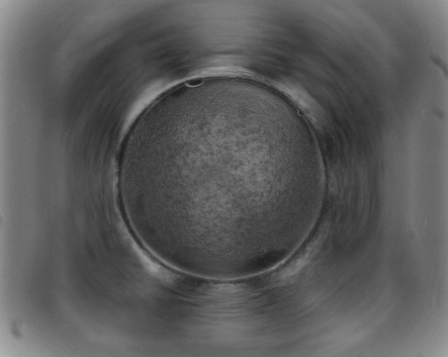 X0000097811430200803141109