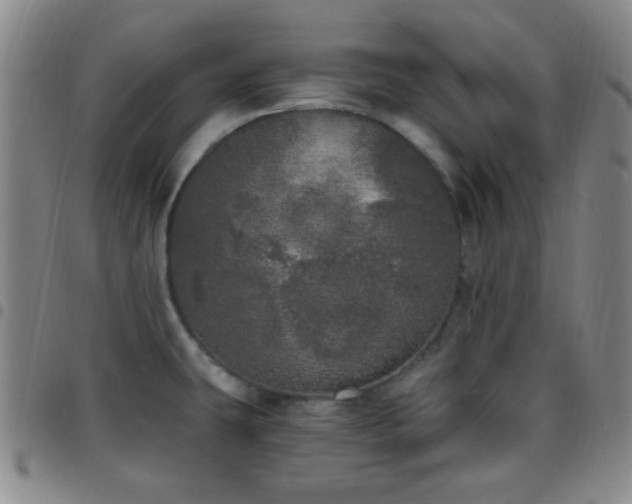 X0000097811431200803141109