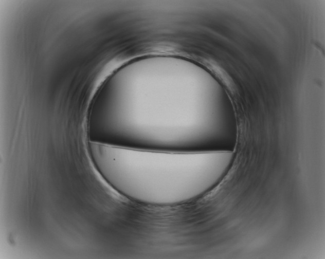 X0000097811432200803141109
