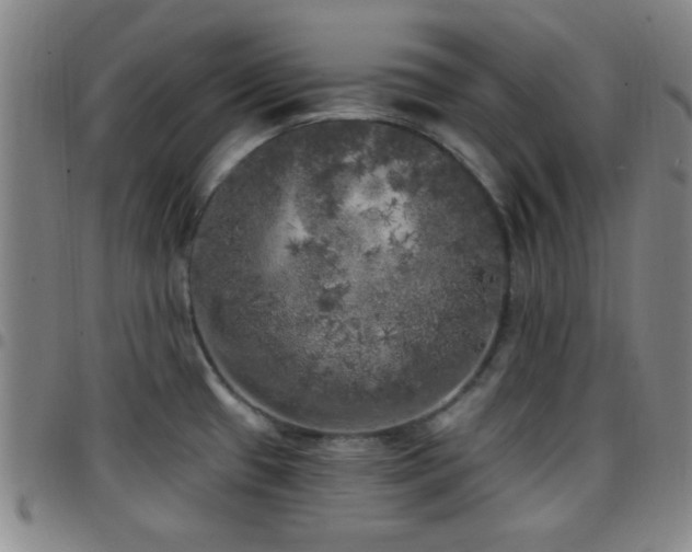 X0000097811433200803141109