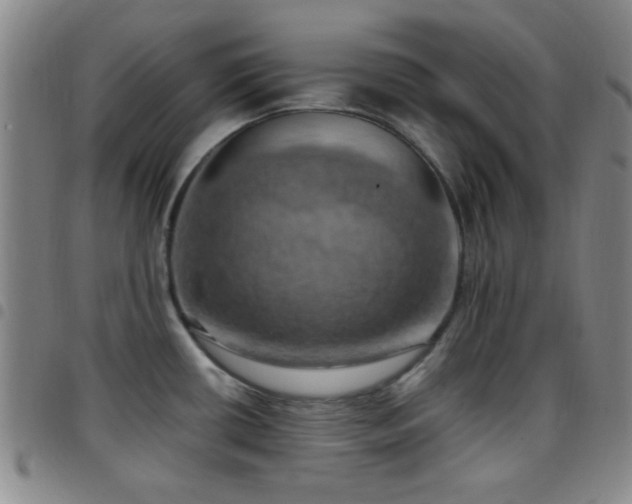 X0000097811434200803141109