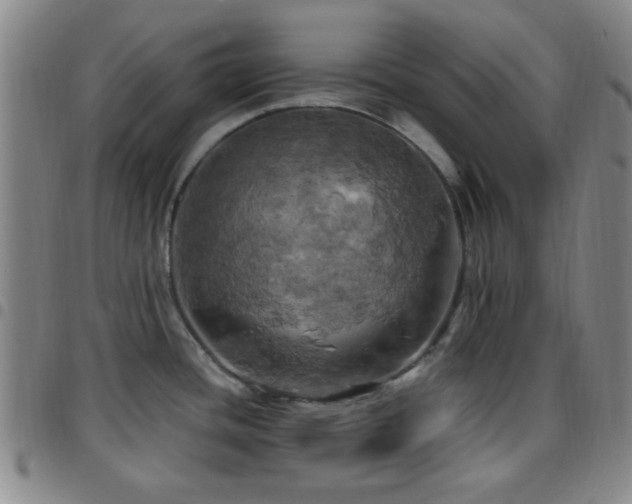 X0000097811436200803141109