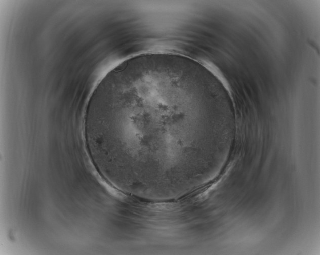 X0000097811437200803141109