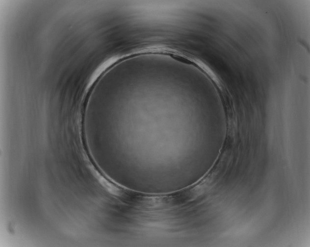 X0000097811438200803141109