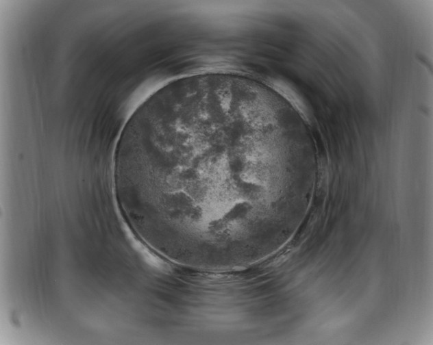 X0000097811439200803141109