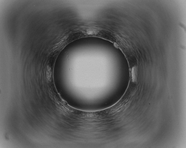 X0000097811443200803141108