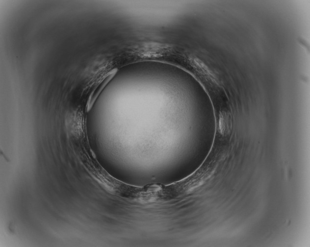 X0000097811444200803141108
