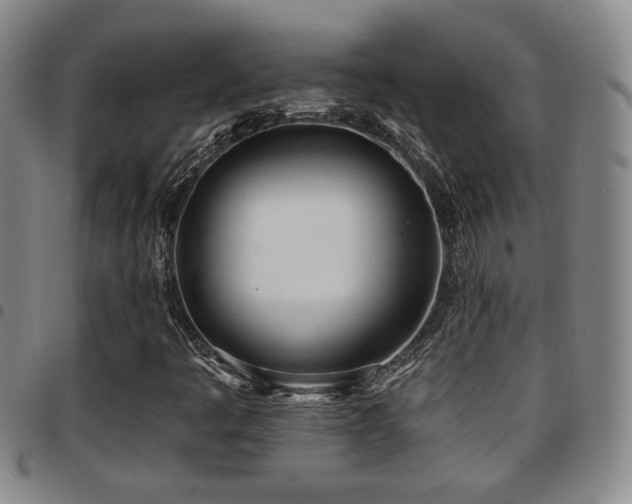 X0000097811445200803141108