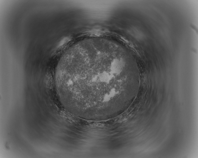 X0000097811446200803141108