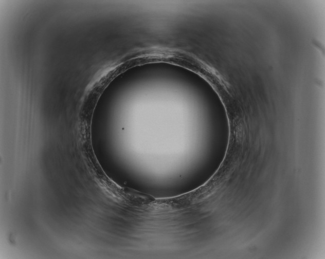 X0000097811448200803141108
