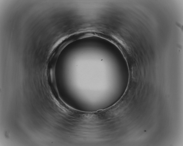 X0000097811452200803141108