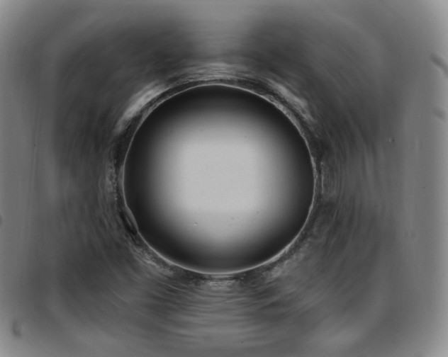 X0000097811453200803141108
