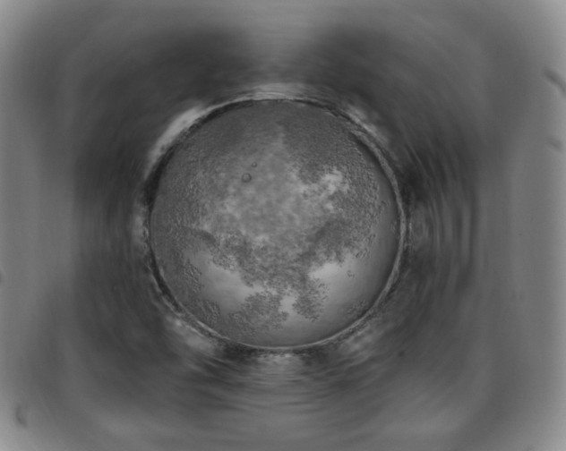 X0000097811454200803141108