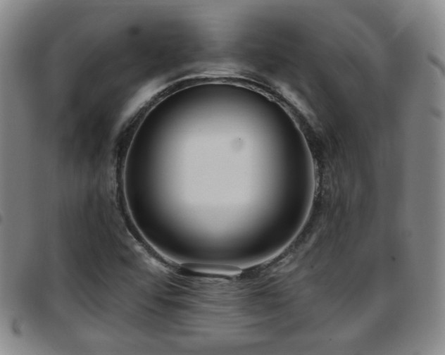 X0000097811456200803141108