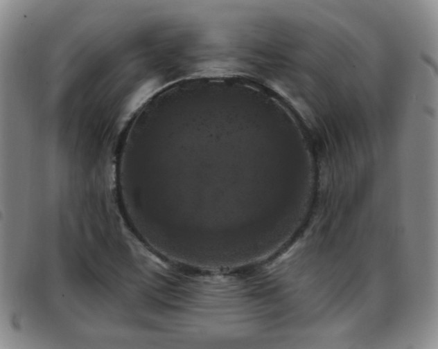 X0000097811459200803141108