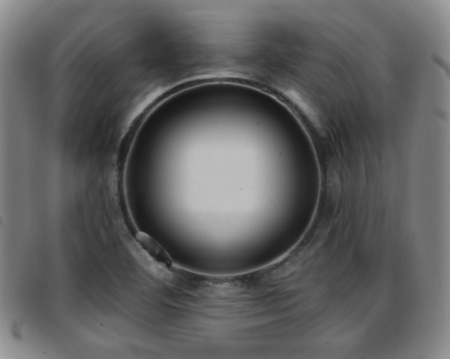 X0000097811460200803141108