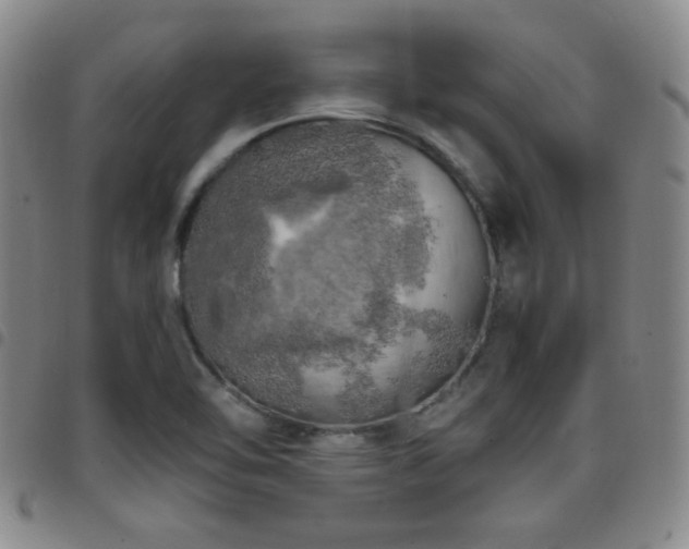 X0000097811462200803141108