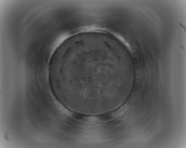 X0000097811463200803141108