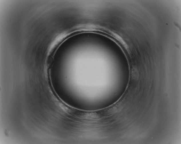 X0000097811464200803141108