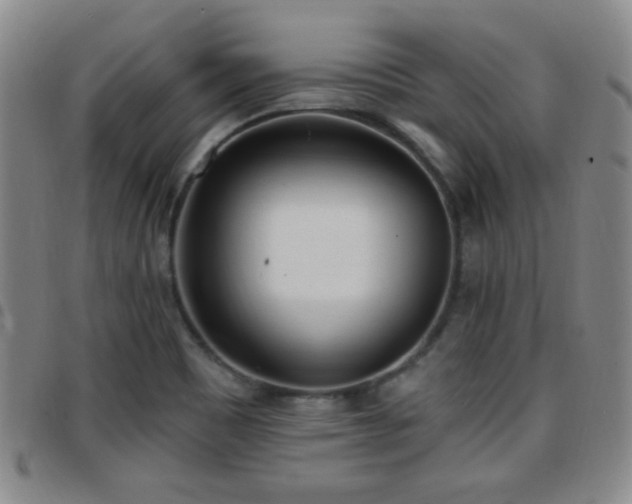 X0000097811465200803141108